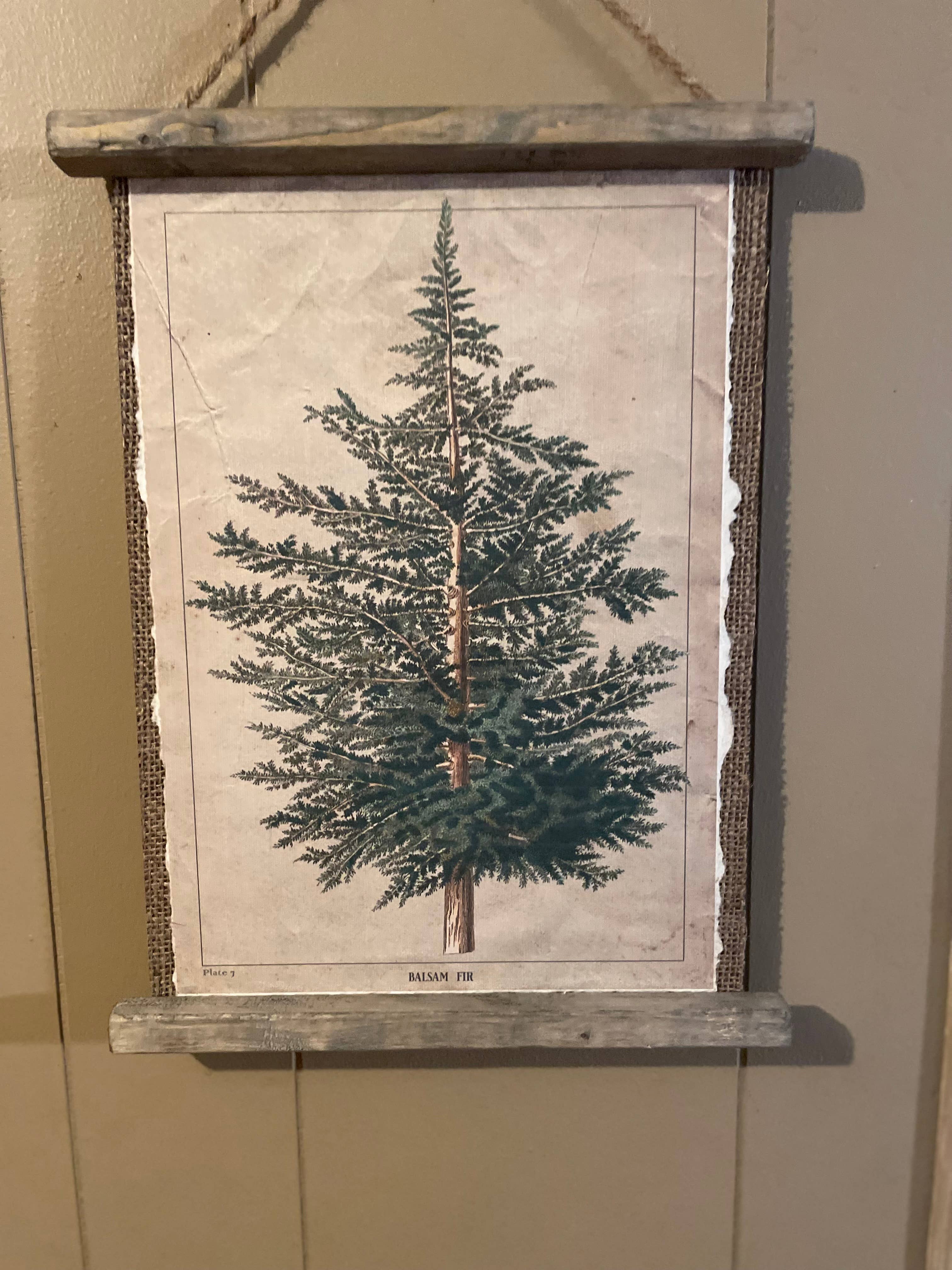 LAND OF COTTON - Wholesale Plaque - Balsom Fir Botanical Plate Plaque 3