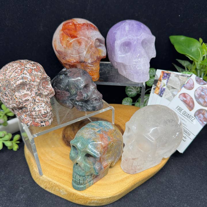 6 pc Ocean Jasper Leopardite fire quartz skull bundle G805 for wholesale by The 7 Directions