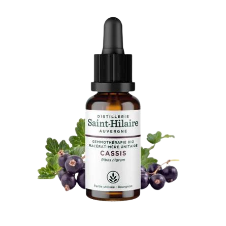 Ecohesens - Wholesale Tincture - Organic Blackcurrant Macerate - 30 ml - Saint-Hilaire0