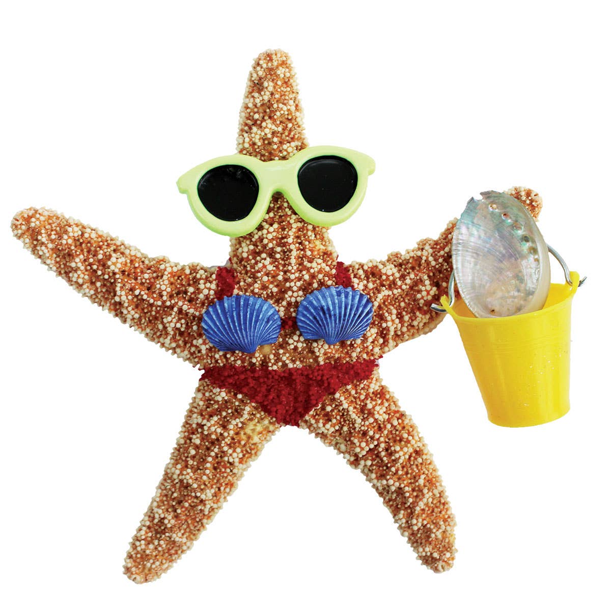 California Seashell Company - Wholesale Magnet - Beach Girl Bucket Sugar Starfish Magnet6