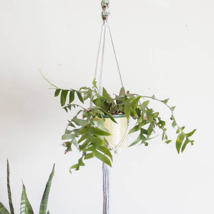 Modern Bo Studio - Wholesale Hanging Planter - Chunky Twist Plant Hanger - Multicolor