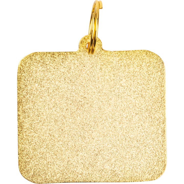 Primitives by Kathy - Wholesale Pet Collar - Dog - Hello My Name Is Good Boy Collar Charm1