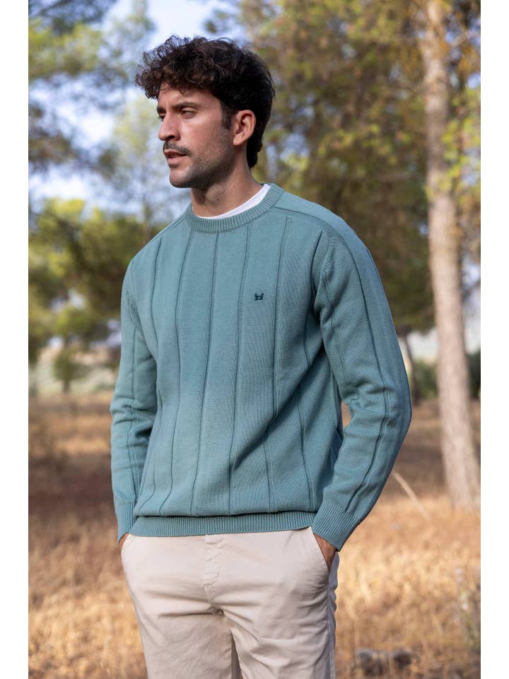 Custi Mikelo: Men's Clothing & Christmas Gifts - Wholesale Knitted jumper – Men′s - Medium Green Vertical Stripe Jersey2