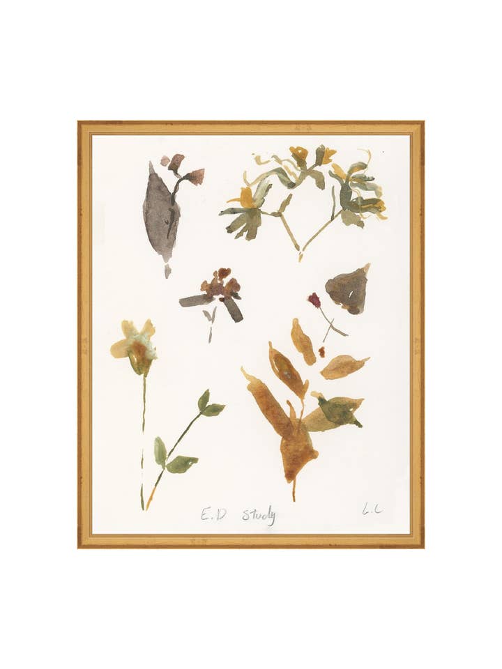 Studio Botanico E.D. per la vendita all'ingrosso da parte di Splendus