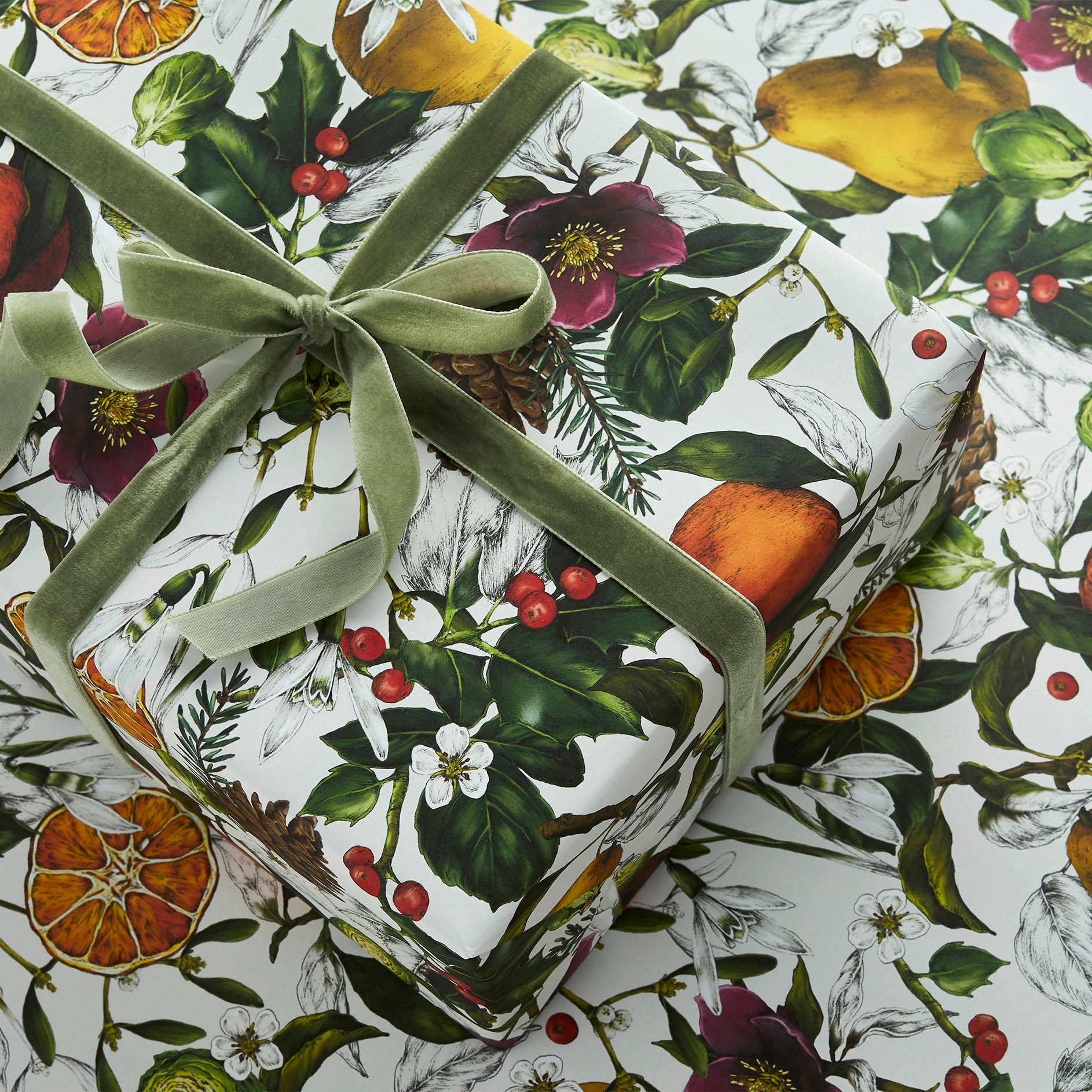 Catherine Lewis Design - Wholesale Flat Wrap - No.1- 'The Botanist Archive : Festive Edition' - Gift wrap1