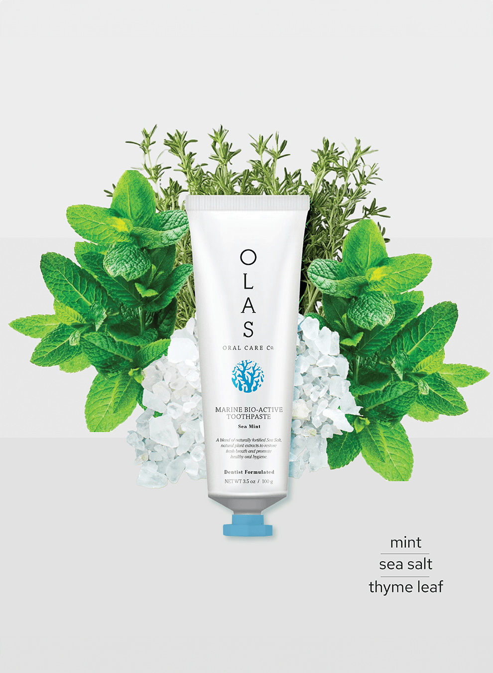 OLAS Wellness - Wholesale Toothpaste - OLAS Marine Sea Mint Toothpaste1