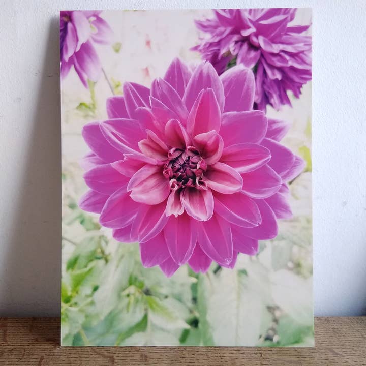 Dynamic Dahlia Metal Print for wholesale by Rebecca Harman