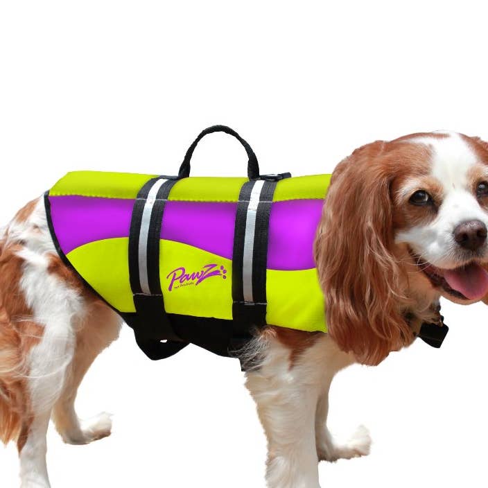 Pawz Pet Products Neoprene Dog Life Jacket Yellow/Purple for wholesale by Pet Stores USA