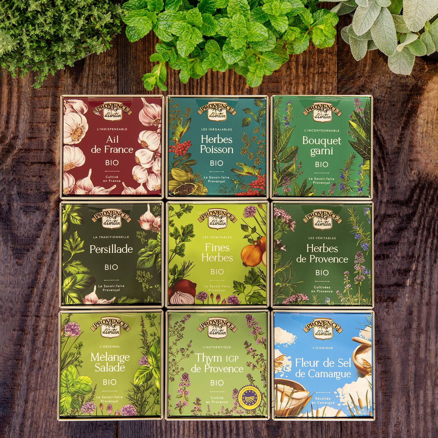 PROVENCE D'ANTAN - Wholesale Herbs - Organic Provence Herbs Cube* - 40g3