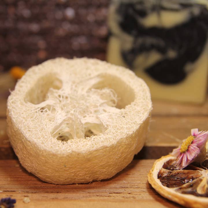 Disco in luffa - portasapone naturale e spugna esfoliante per la vendita all'ingrosso da parte di Landseife