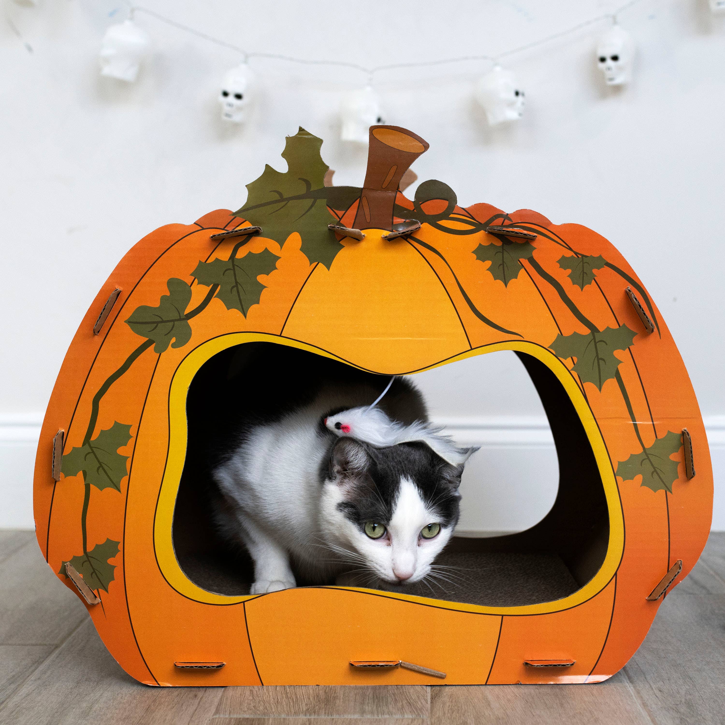 Midlee Designs – wholesale Kattkliare - Katt – Midlee Halloween pumpa katt skrapare hus12