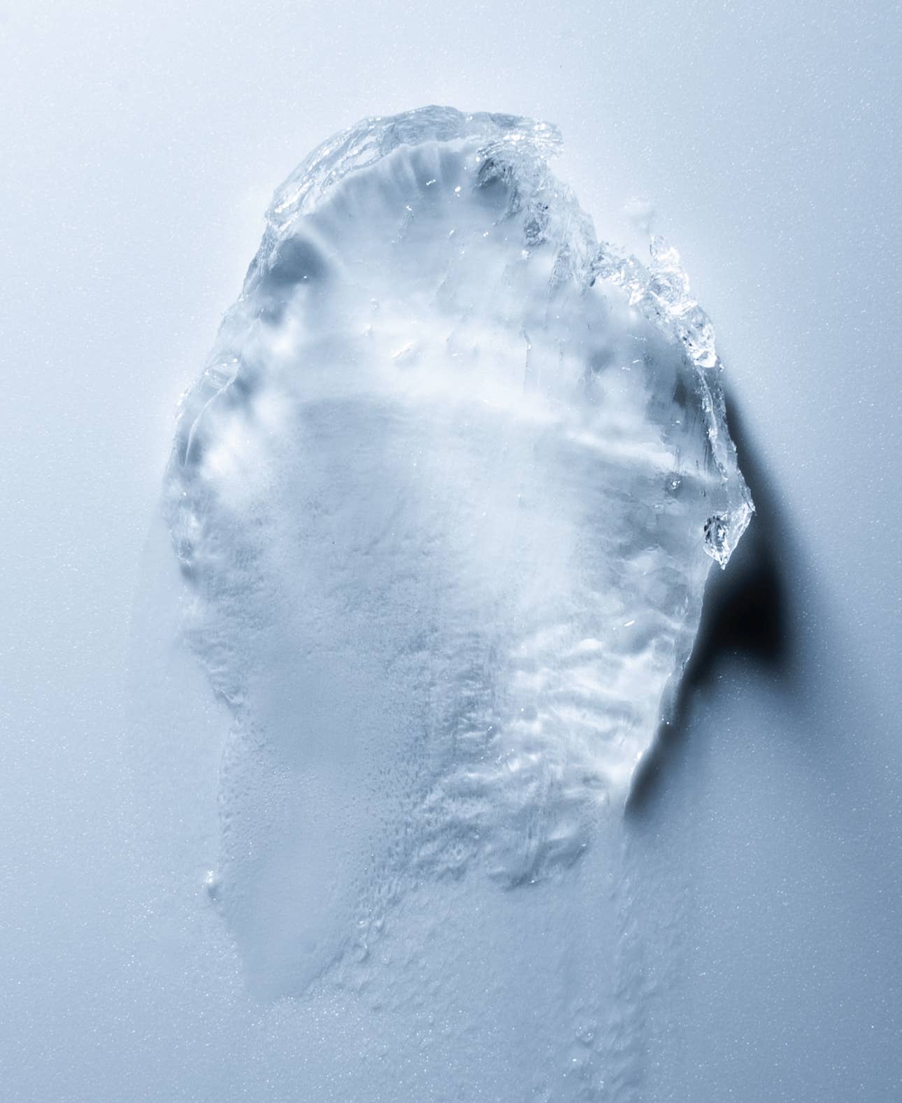 WTF Beauty - Wholesale Eyebrow Pencil/Filler - What The Fluff | Brow Styling Wax4