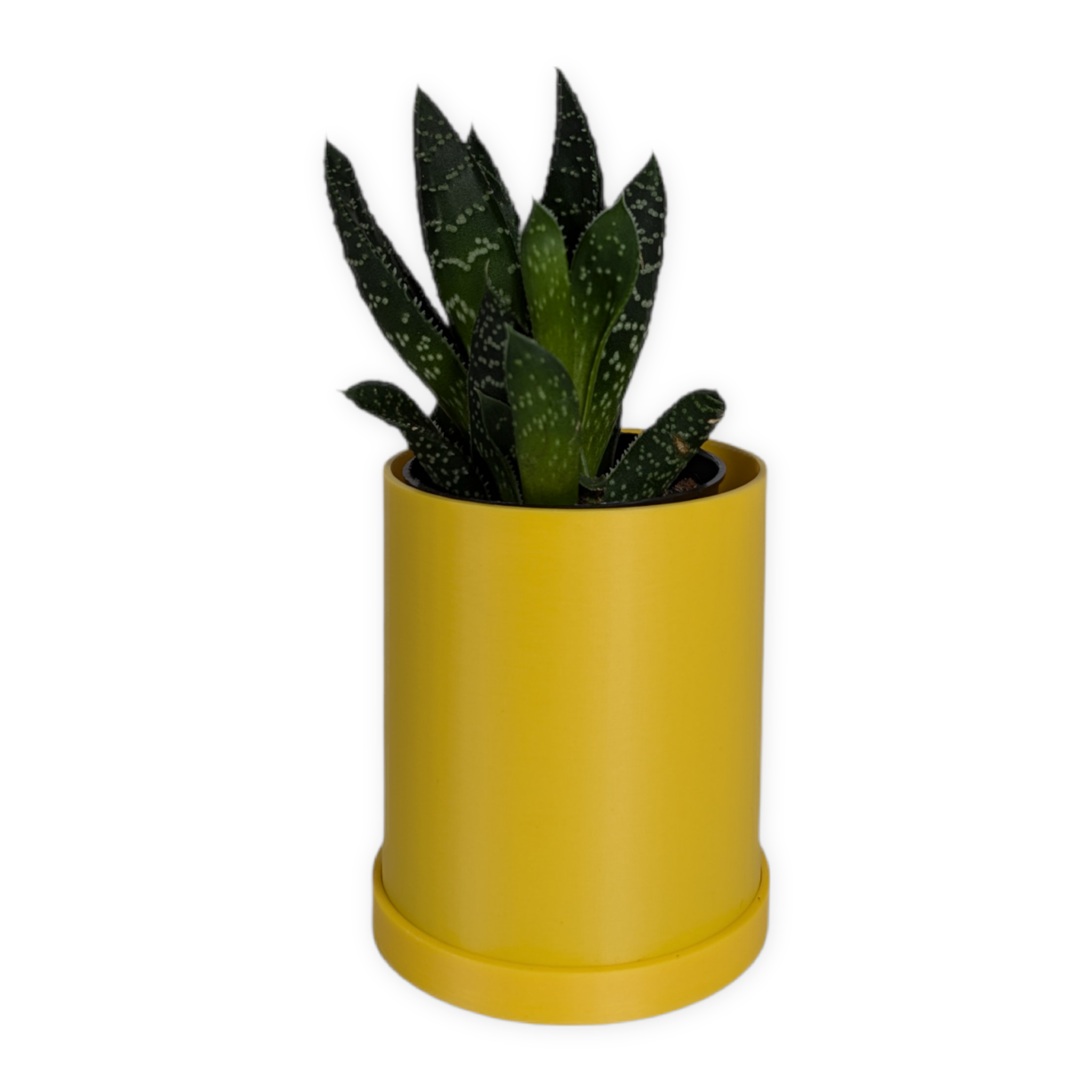 Leafprints.3d - Wholesale Plant Pot - The Pebble – 2 Inch Planter with Drip Tray19