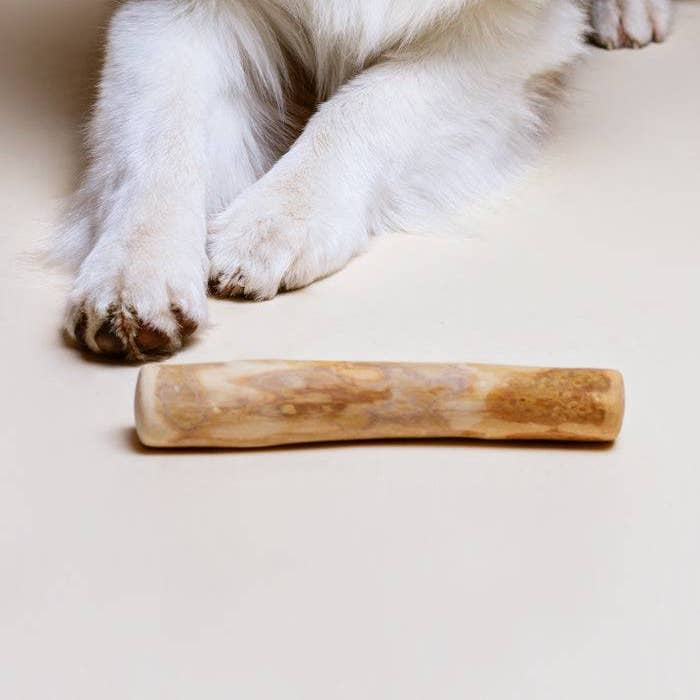 BennyBurton (Walk-Buddy Hundezubehör) - Wholesale Pet Chew Toy - Dog - Natural and sustainable COFFEE WOOD chew sticks in sizes S to L1