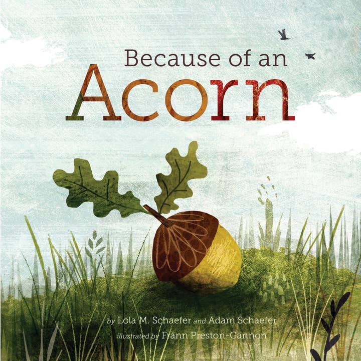 Chronicle Books - Wholesale Preschool Book (3-5) - Because of an Acorn1