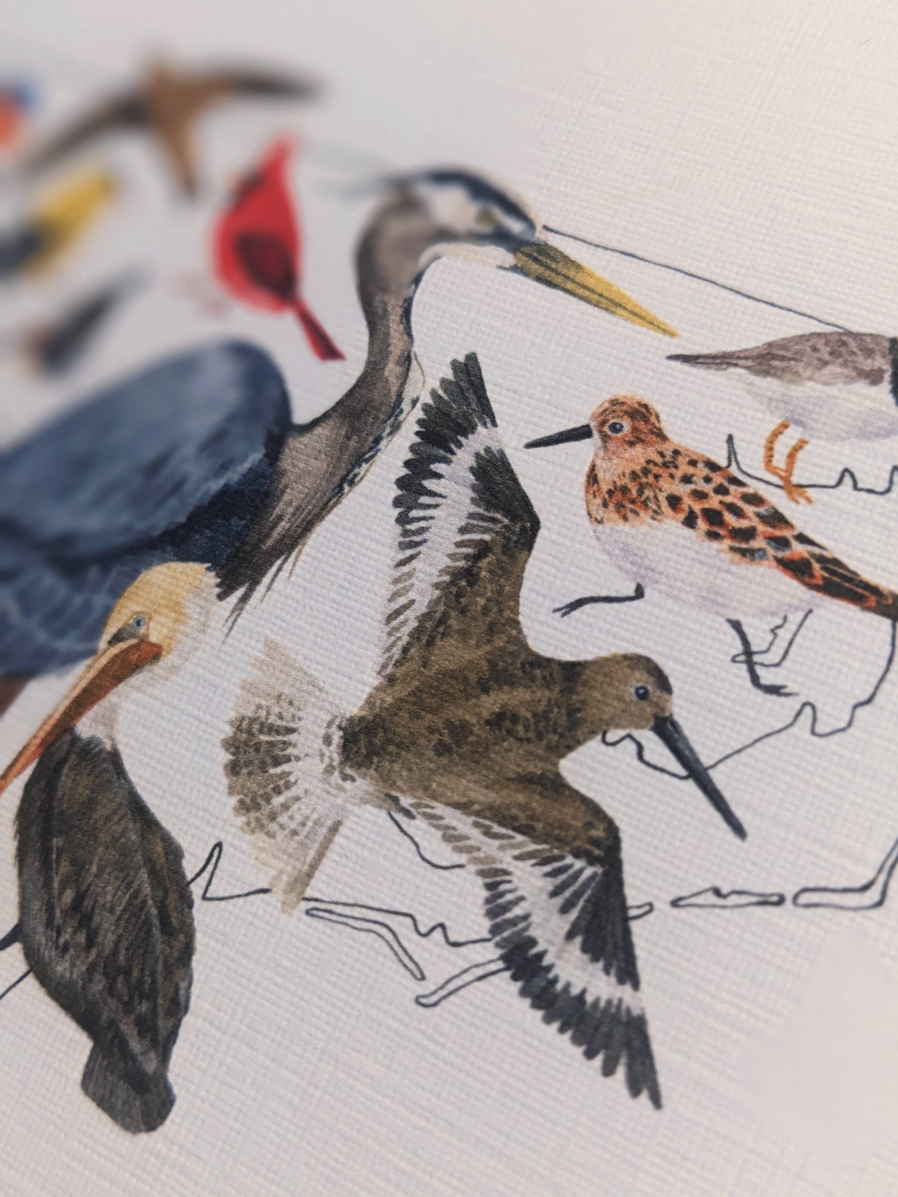 Papermill Creative - Wholesale Stationery/Notecard Set - North Carolina Birds notecard set2