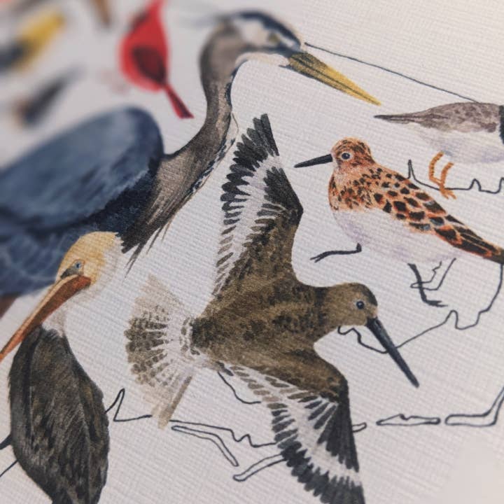 Papermill Creative - Wholesale Stationery/Notecard Set - North Carolina Birds notecard set2