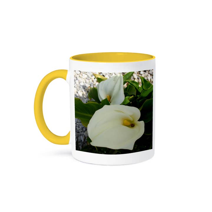 3dRose - Wholesale Coffee Mug - 3dRose, Overhead View Two Calla Lilies In Garden, White colour, trumpet-like shape, Mug