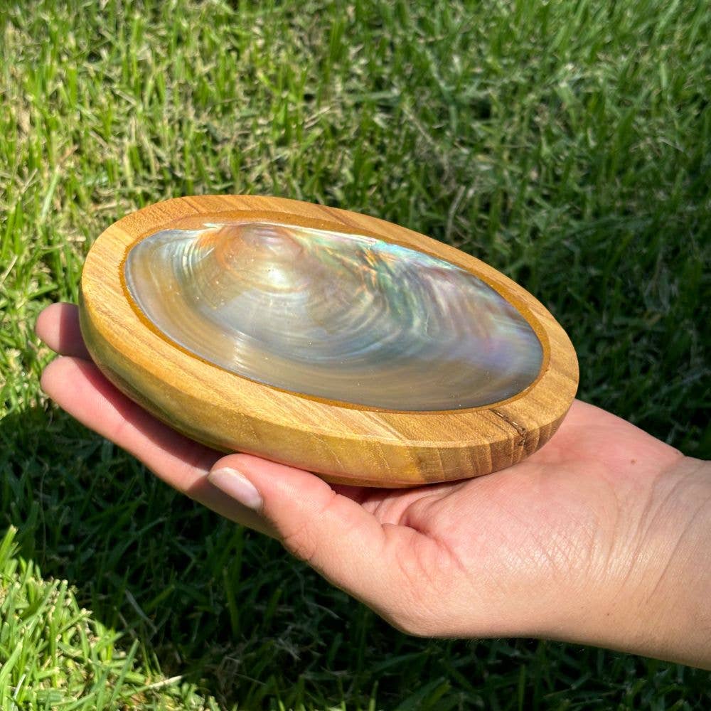 Earths Elements Wholesale - Wholesale Retailer Sample - Home Decor - Bowl - Shell Wood4