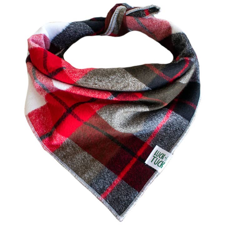 Bandana pour chien Boomer pour la vente par LUCK OF TUCK
