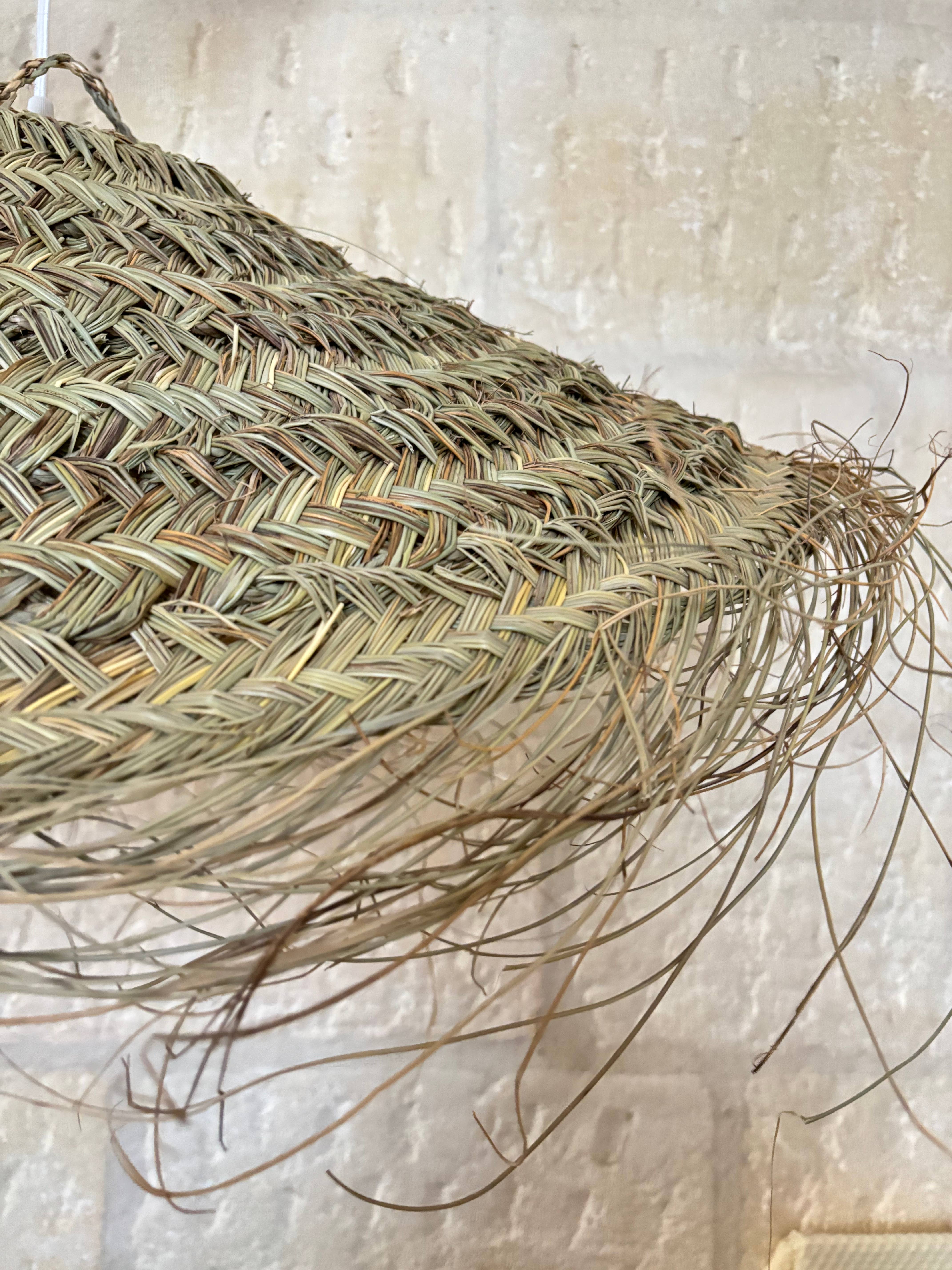 BAHIA HOME - Wholesale Chandelier/Hanging Light - Bologna suspension2