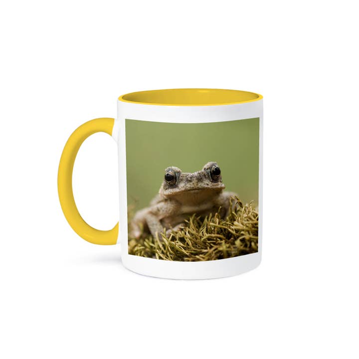 3dRose - Wholesale Coffee Mug - 3dRose, Red-spotted Toad young, Hill Country, TX - NA02 RNU0760 - Rolf Nussbaumer, Mug