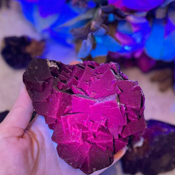 Mandala Gems - Wholesale Spiritual Stone/Crystal - RARE Black Rose Fluorite Specimens, Fluorescent Red or Pink