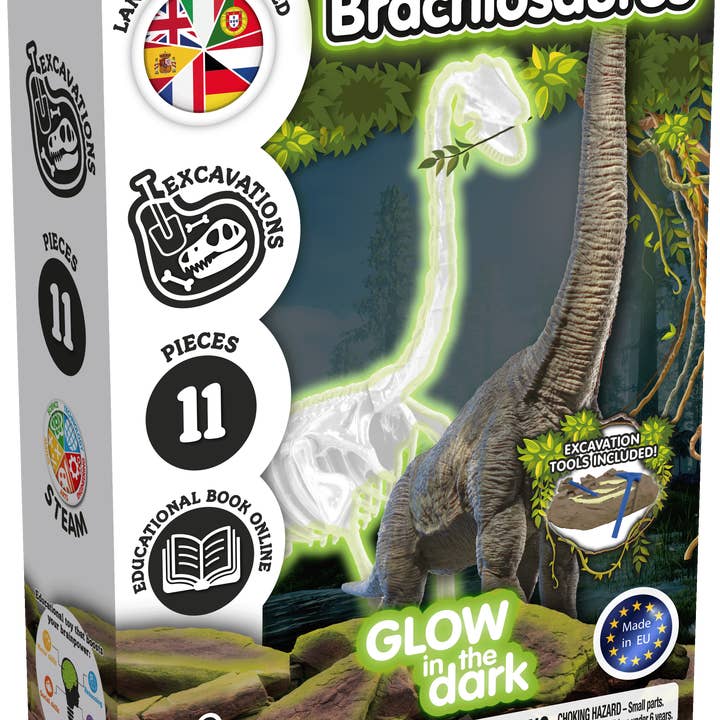 Fossil Excavations for Kids - Glow-in-the-Dark Brachiosaurus for wholesale by Science4you