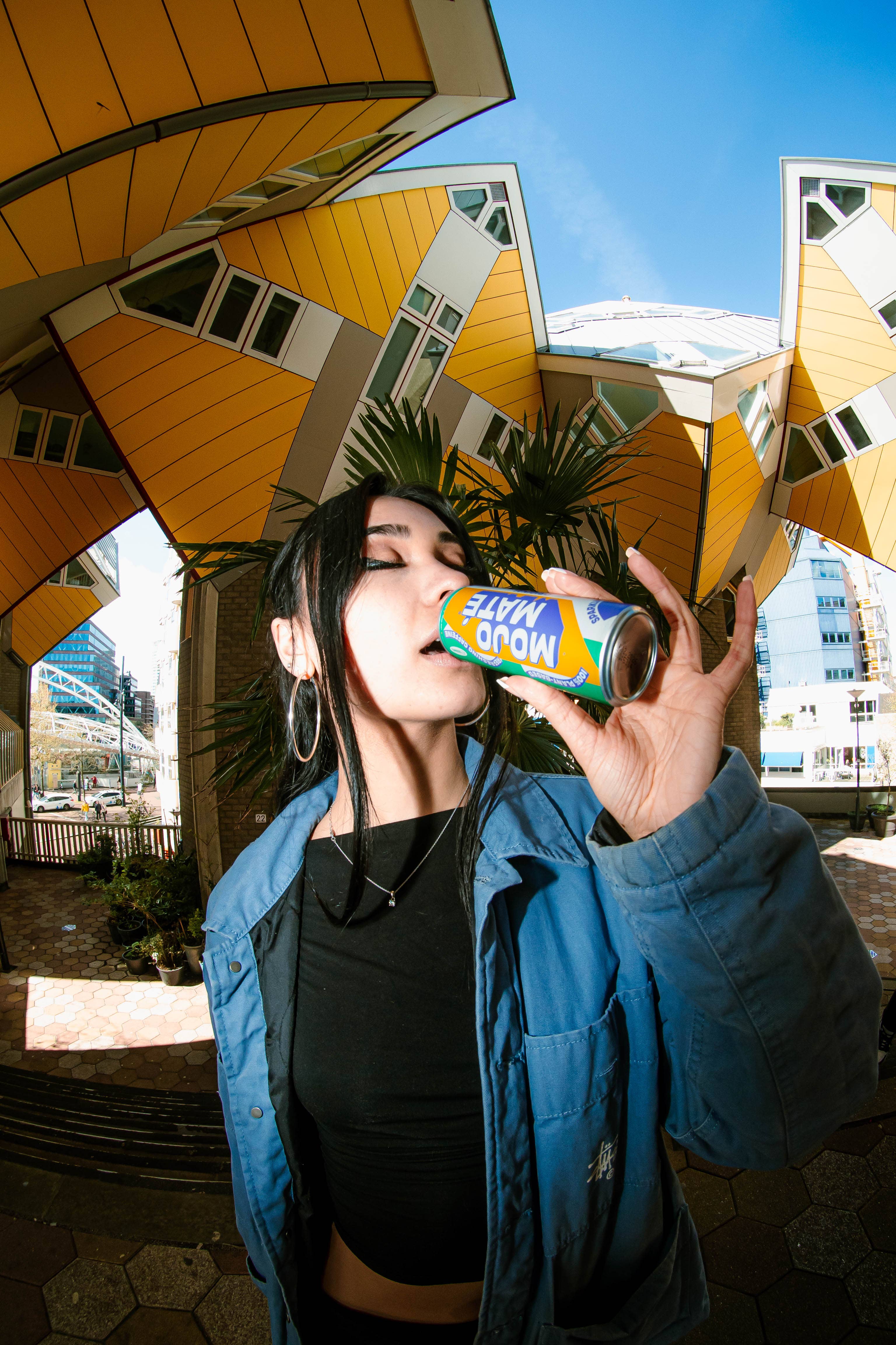 Mojo Maté – Engroshandel Sodavand/kulsyreholdige drikkevarer – Mojo Maté Original - Iste med yerba maté7