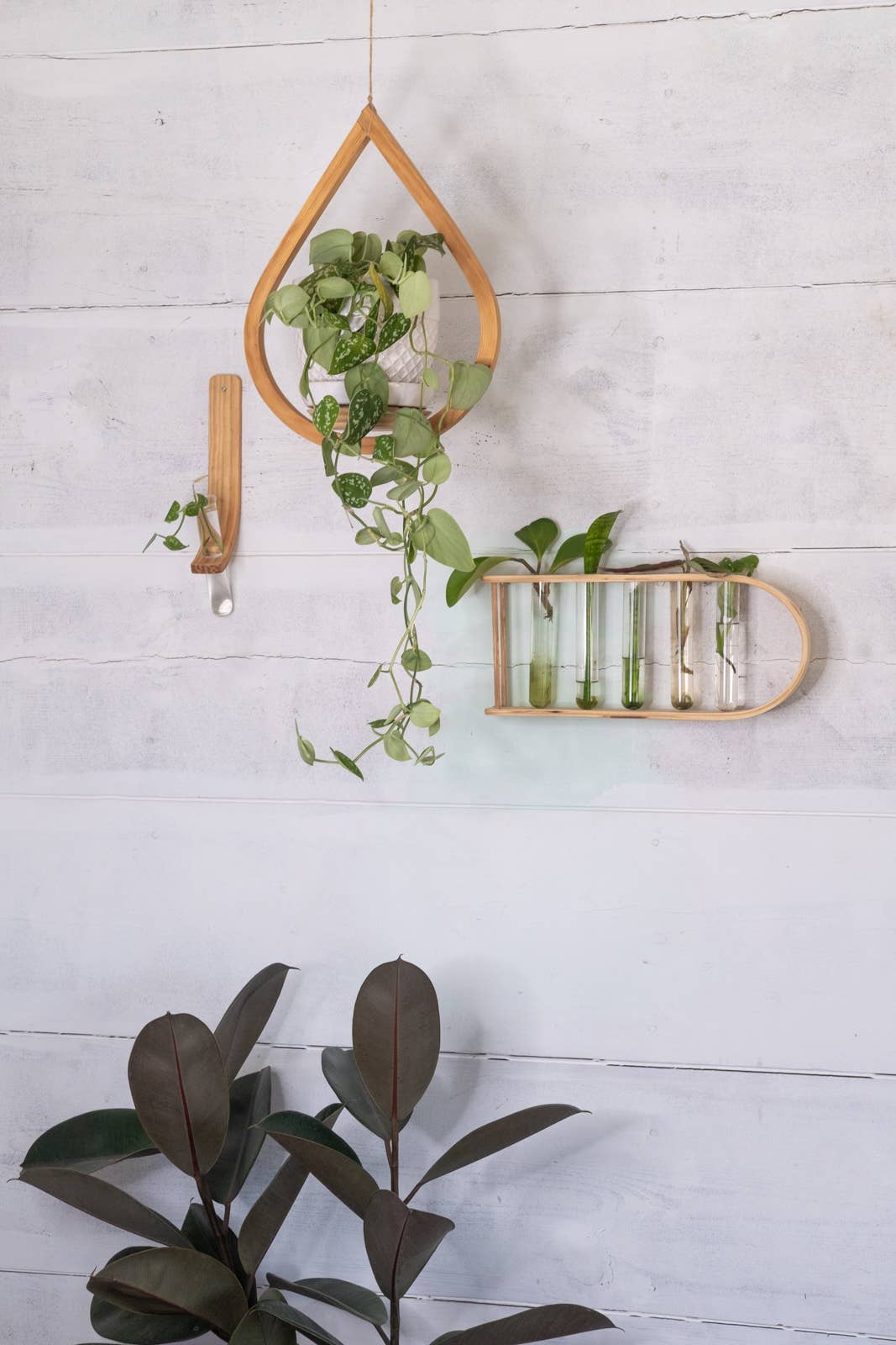 Horsemen Co. - Wholesale Wall Planter - Single Propagation Station with Tube8