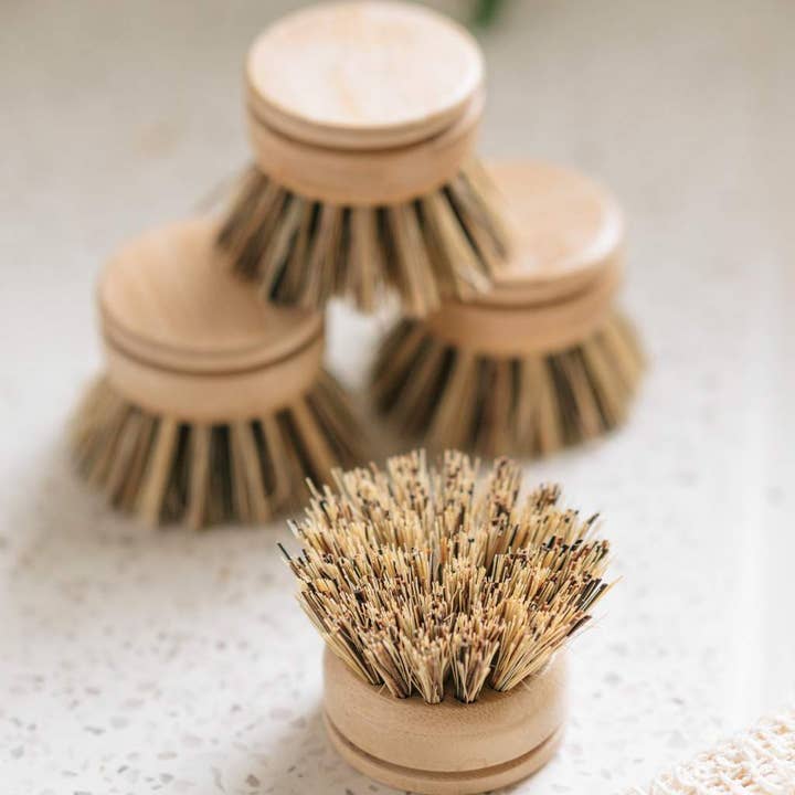 Jungle Culture - Wholesale Cleaning Brush - Replacement Dish Brush Heads | Eco Bamboo (Pack of 4) 3