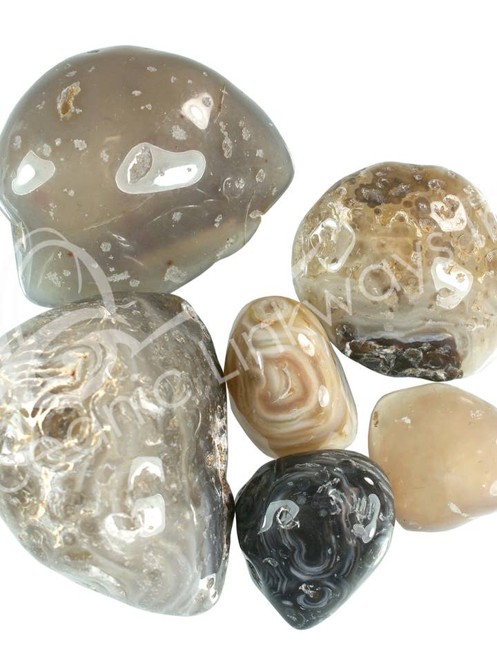 (KG)FORME LIBRE - AGATE, ENHYDRO 1-3,5" pour la vente par Oceanic Linkways Inc