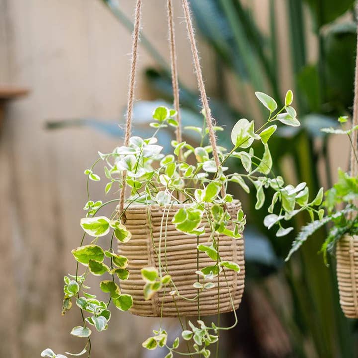 Rustic Reach - Wholesale Hanging Planter - Faux Rattan Cement Hanging Planter7