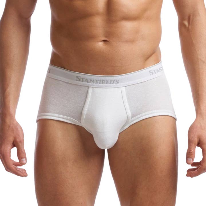 Men's Supreme Cotton Blend 2-Pk Regular Rise Brief for wholesale by Stanfield's