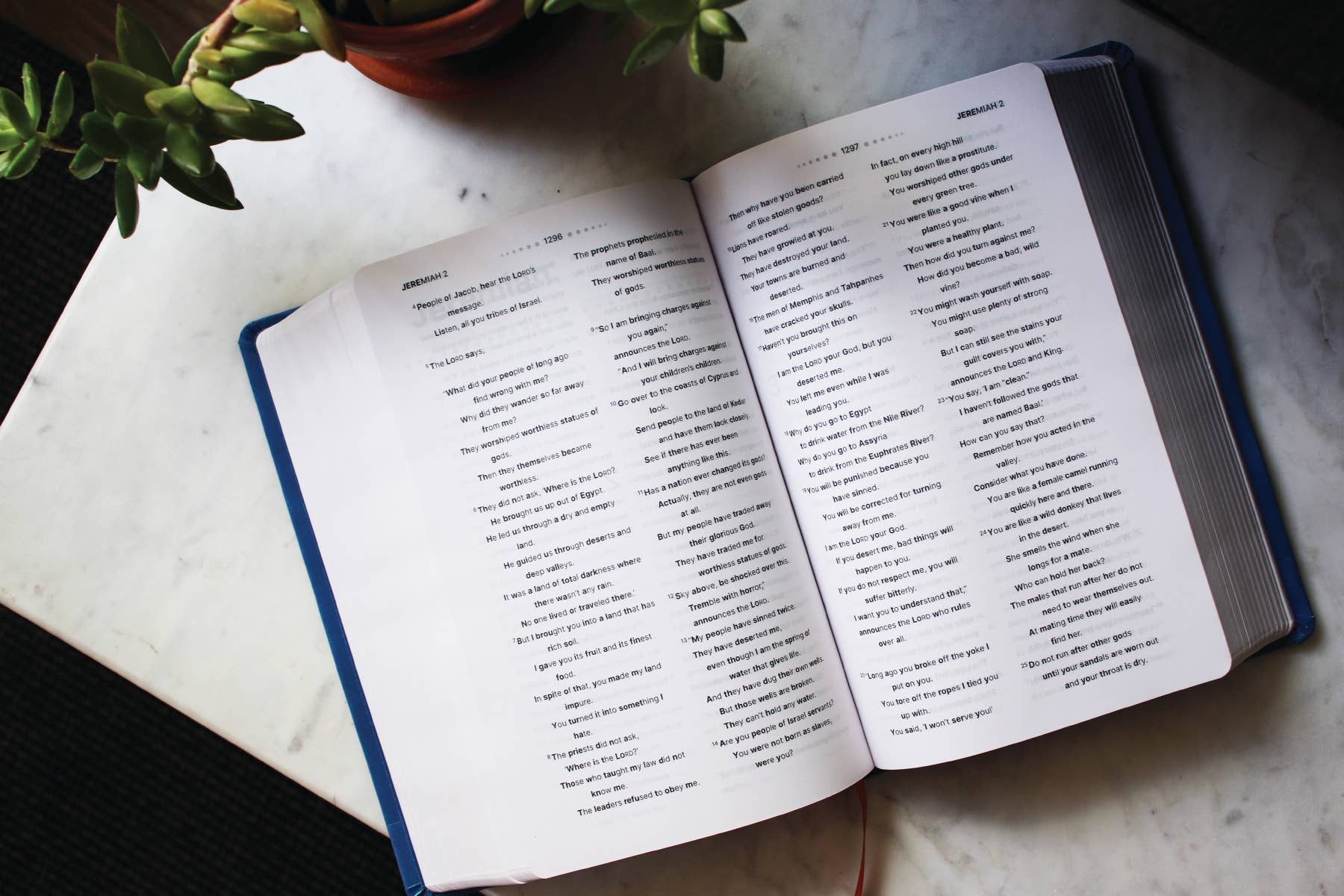 HarperCollins Christian Publishing - Wholesale Preschool Book (3-5) - NIrV, Clear Focus Bible For Kids, Leathersoft, Blue4