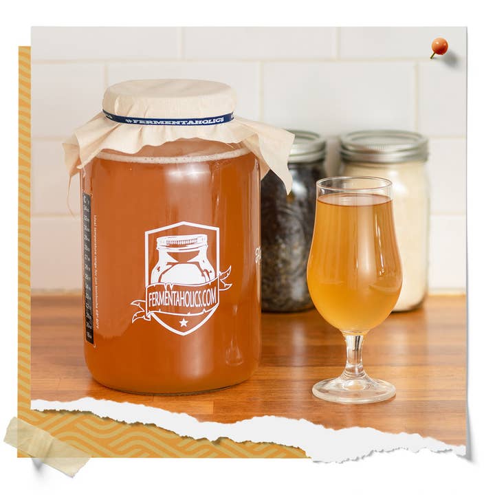 Fermentaholics - Wholesale Kombucha - Jun Kombucha Scoby6