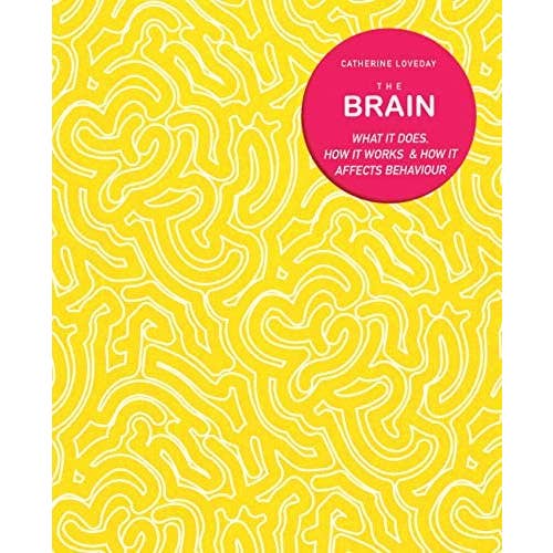 Brain: What It Does, How It Works for wholesale by Microcosm Publishing & Distribution
