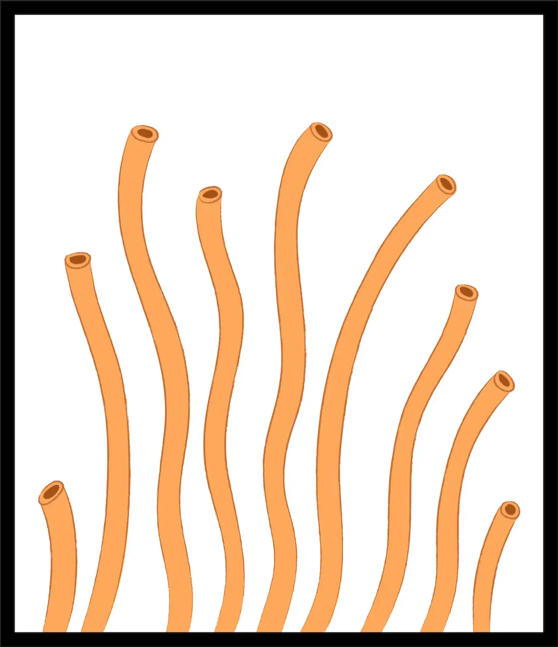 Zelli Pasta - Wholesale Pasta - Bucatini3