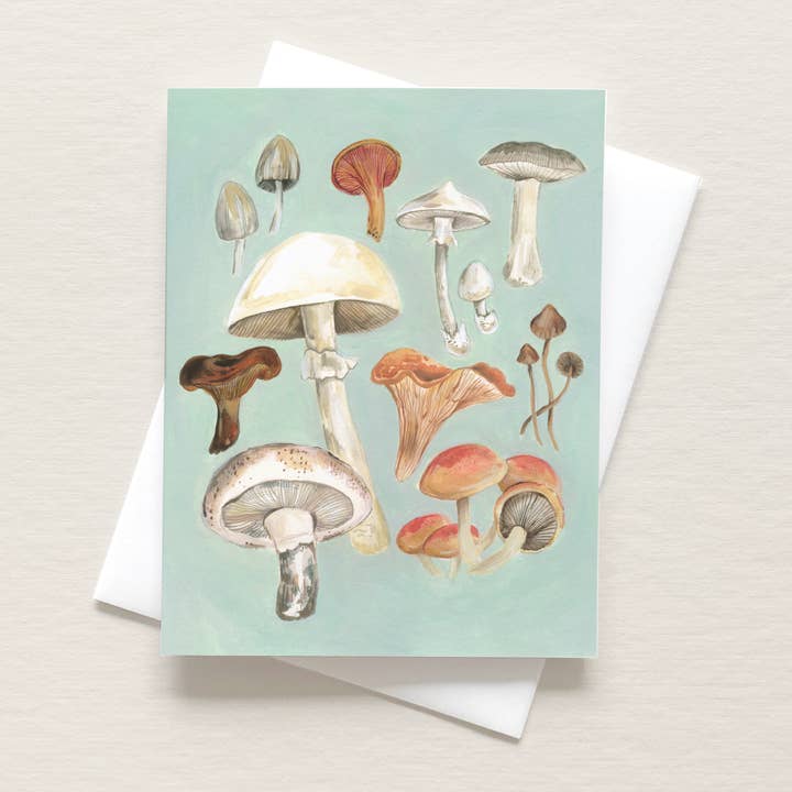 Mushroom Study Art Card for wholesale by Emilie Simpson Art & Design
