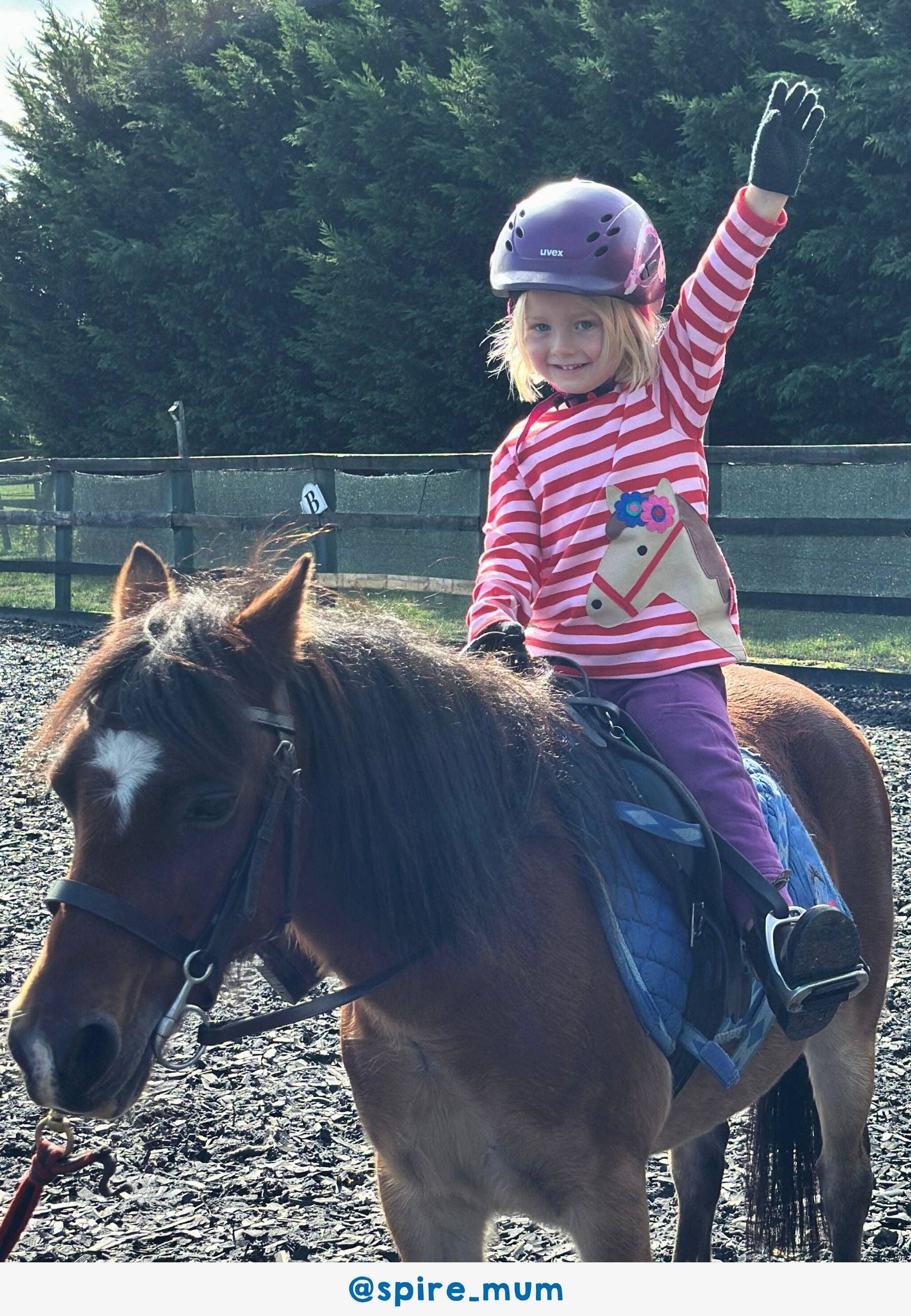 Toby Tiger - Vente T-shirt – enfant - T-shirt à manches longues avec appliqué cheval rose en coton biologique3
