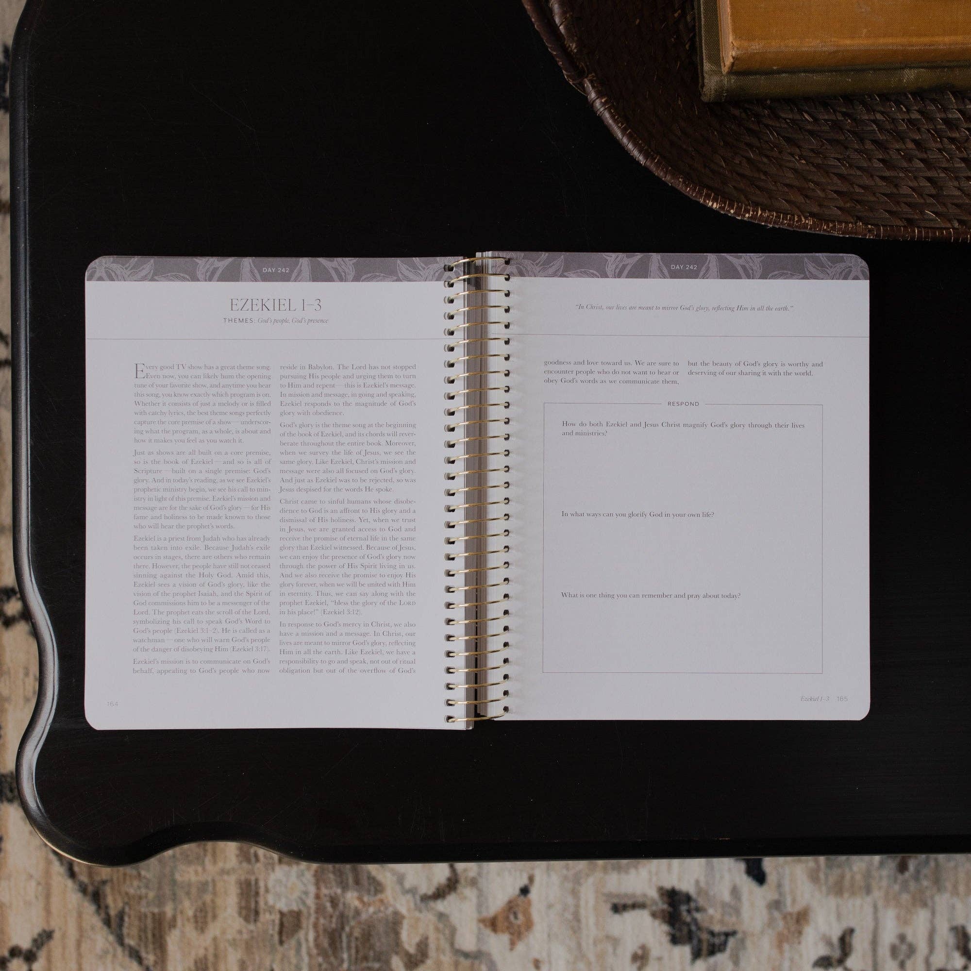 The Daily Grace Co - Vente Religion - Une année dans la Bible | 365 jours pour découvrir la beauté de Jésus de la Genèse à l'Apocalypse | Volume 33