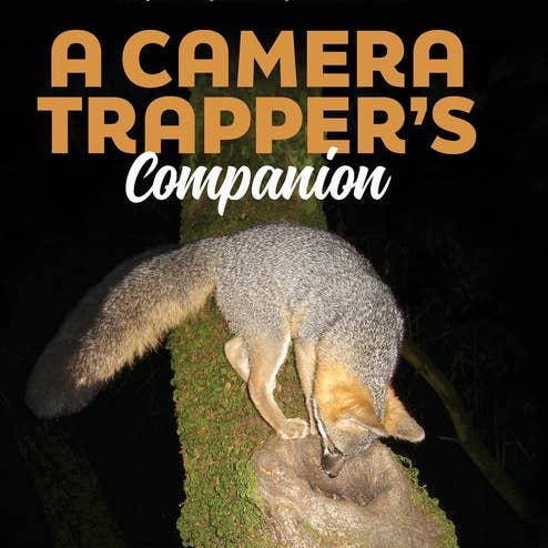 Books by splitShops - Wholesale Nature & Outdoors - A Camera Trapper's Companion: An Introduction to Exploring Nature with Trail Cameras - Hardcover
