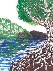 Original Linocut Print "Like a Tree Planted by the Water" for wholesale by FoxprintCards