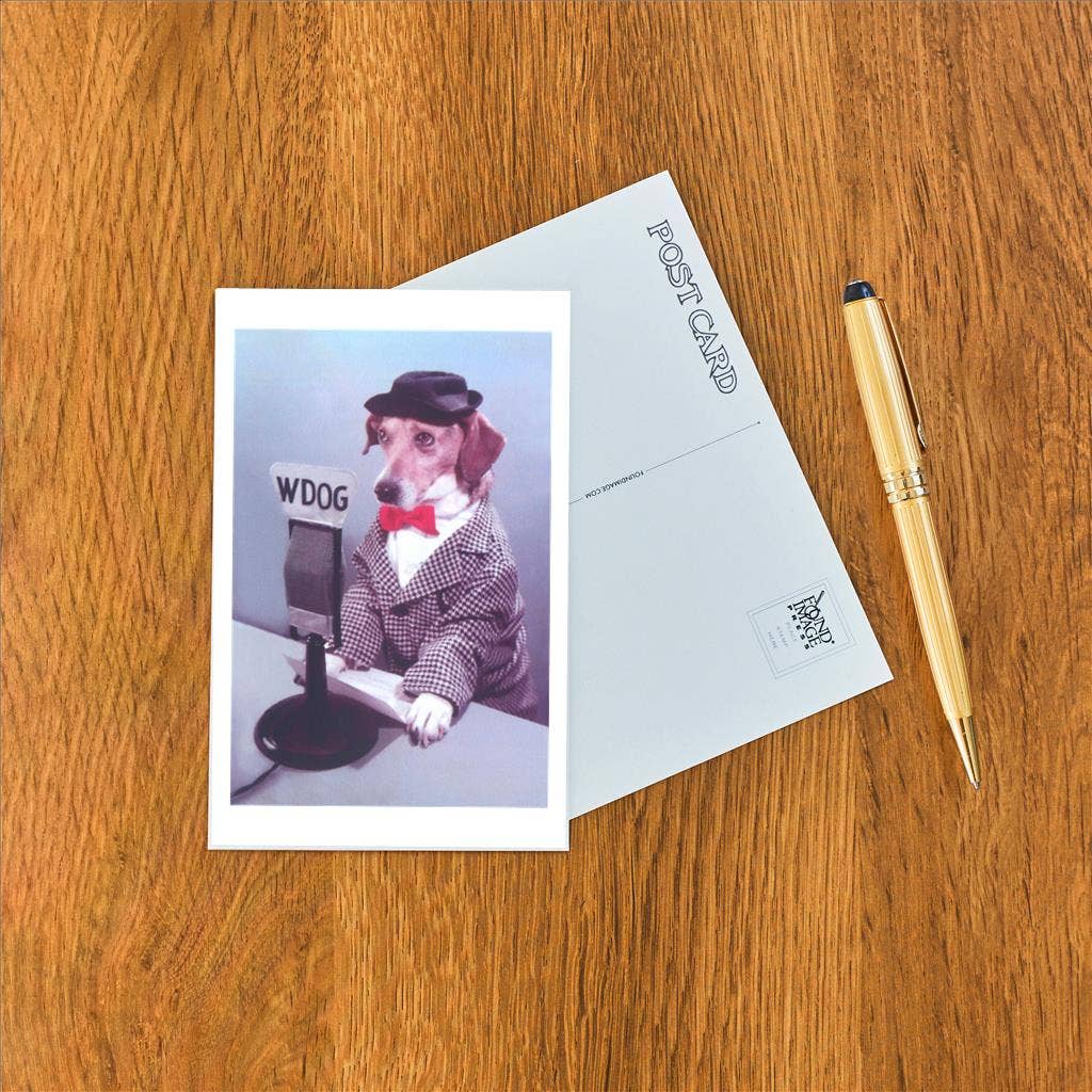 Found Image Press - Wholesale Postcard - Postcard NP-678 Doggie DJ1