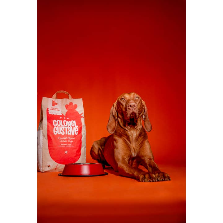 Colonel Gustave - Wholesale Pet Food - Dog - Adult dog food - Fresh chicken1