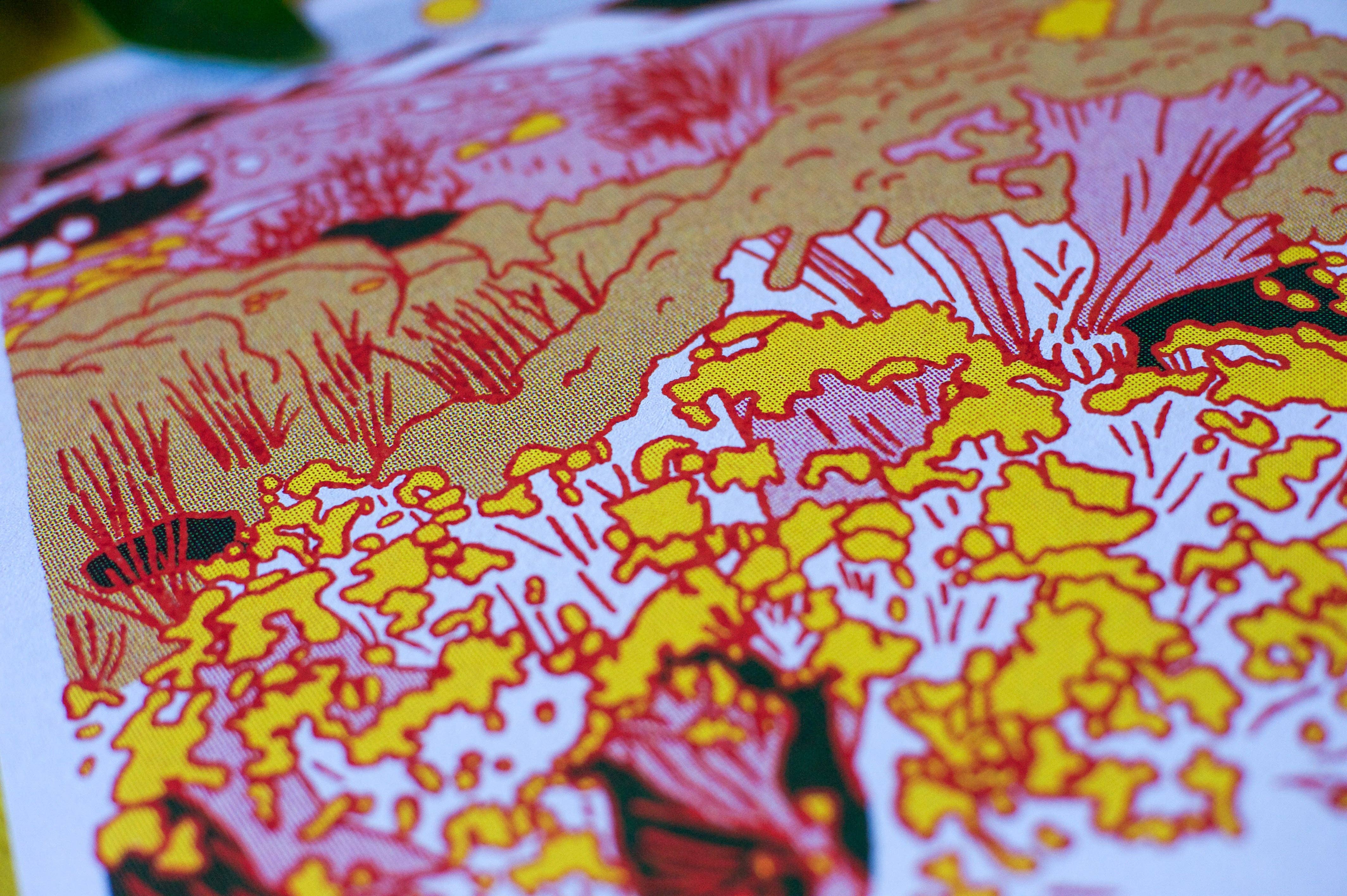 Caroline Clark - Wholesale Art Print - Desert Mountain #25