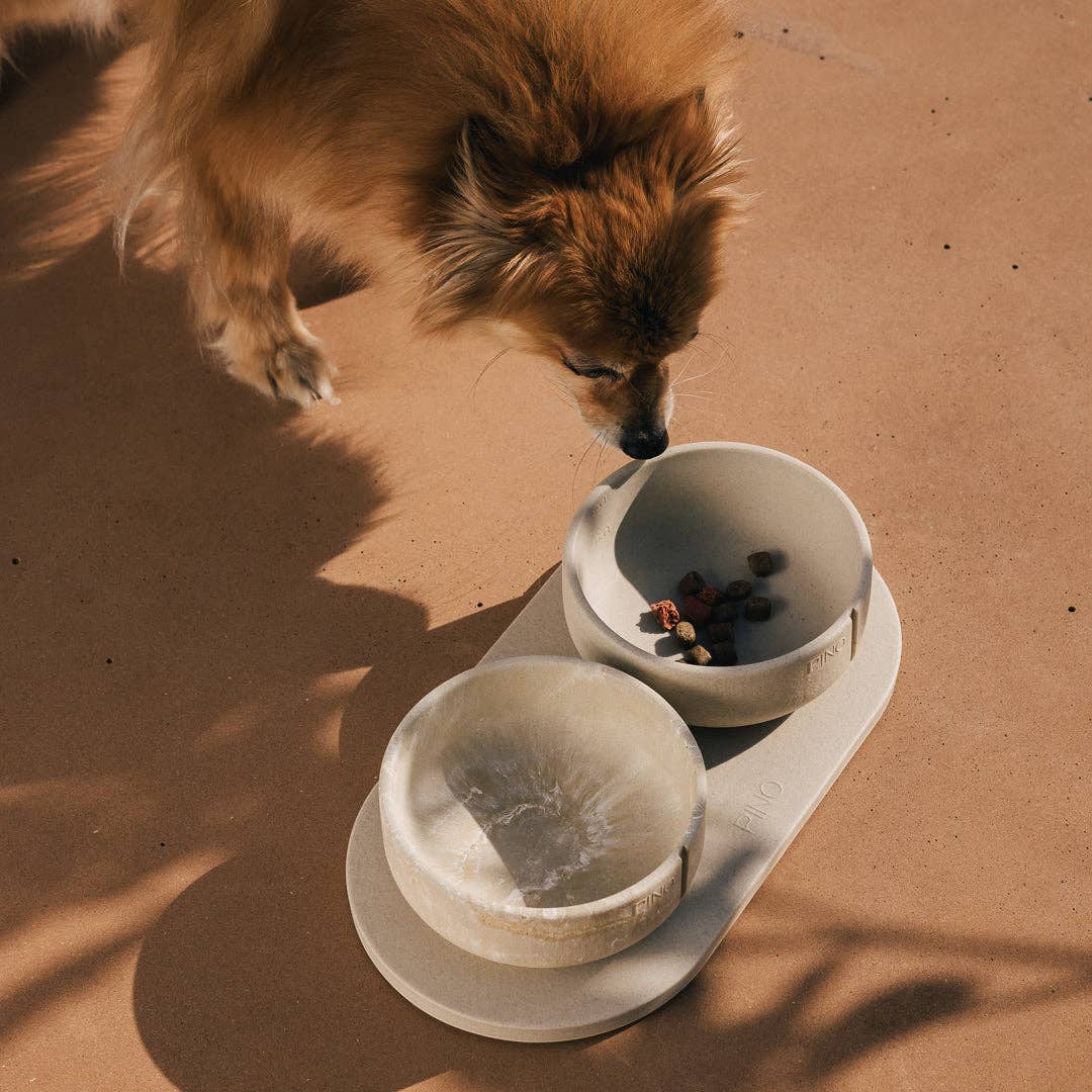 PINO – Engroshandel Kæledyrsskål – Hund – Klassisk skål44