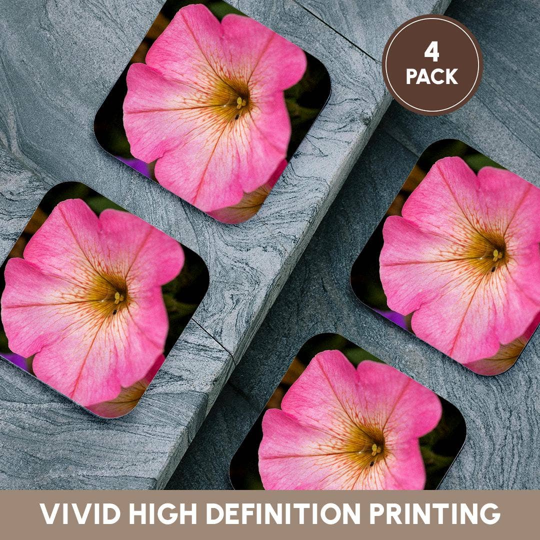 3dRose – wholesale Coasters – 3dRose, Pink petunia flower. A bug drinks rainwater from inside the plant, Coaster12