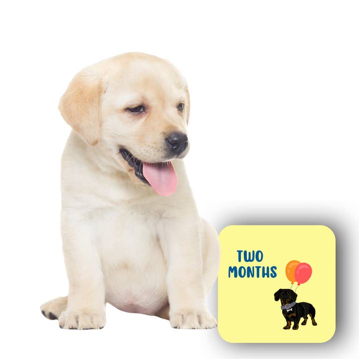 Wild & Wright - Wholesale Milestone Art/Keepsake - Kids & Baby - Welcome to the Pack Milestone Card Set1