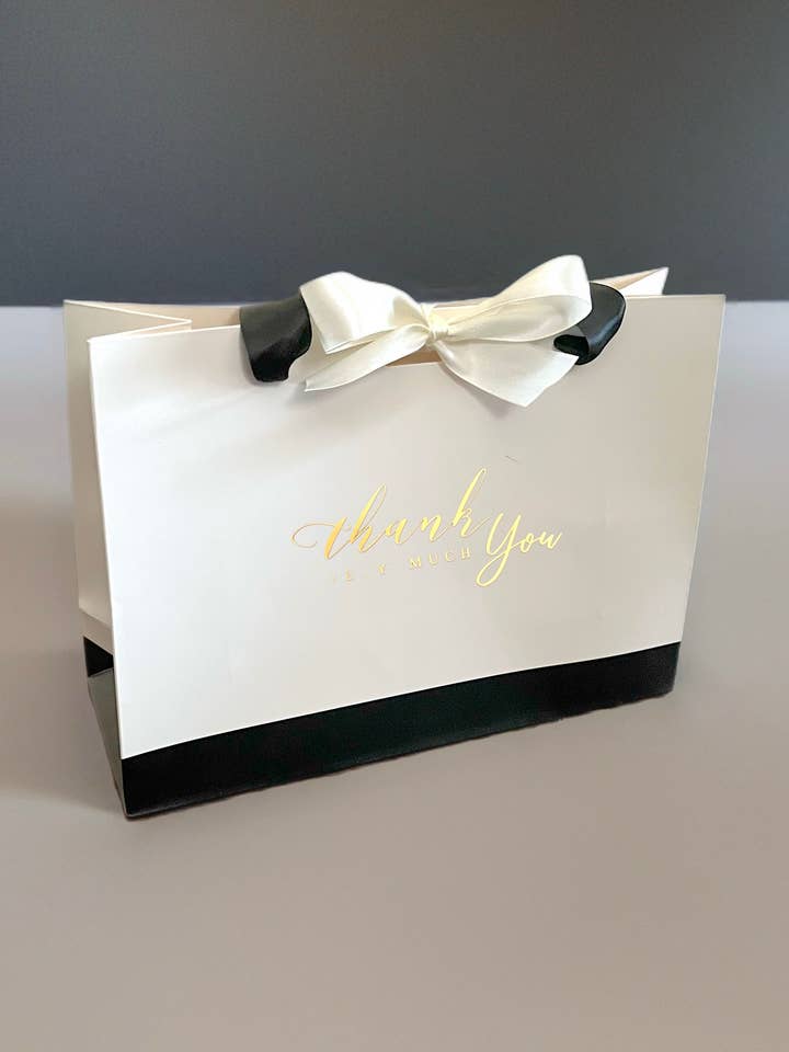 Luxury Ivory Custom Logo Gift Bags with Ribbon Handles for wholesale by ANYGIFTGOODPACKINGBOX